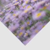 アスター（紫） 薄葉紙 (詳細)