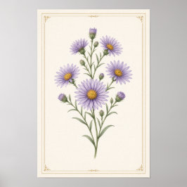 アスター、9月の誕生花の壁画プリント ポスター