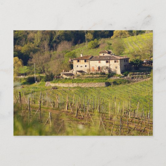 アスチュイートは、ゲストを受け入れる営農農場です, ポストカード (正面)