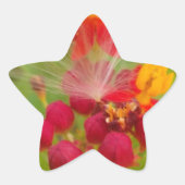 アスチルベとミルクウィードの愛らしいカラフルな花卉アートプリント 星シール (正面)