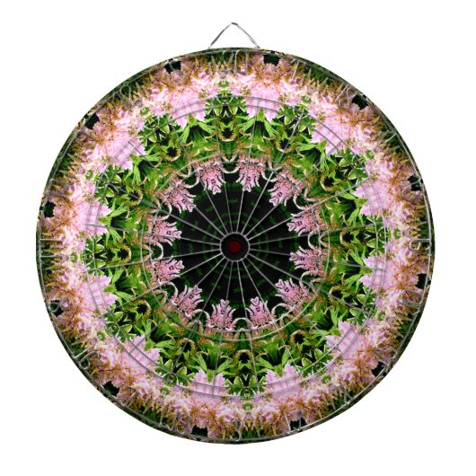 アスティルベリース ダーツボード (正面)