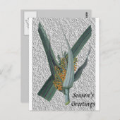 アステリアネルヴォサ ポストカード (正面/裏面)