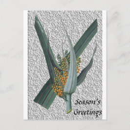 アステリアネルヴォサ ポストカード