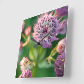 アストラニアの花 スクエア壁時計 (傾斜)