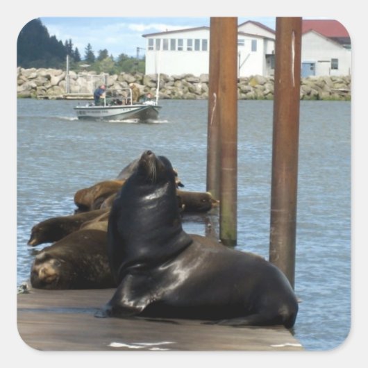 アストリアオレゴン海ライオンズ スクエアシール (正面)