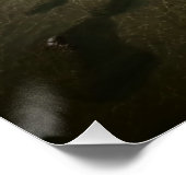 アストリアスビーチグアルジャブラジル ポスター (コーナー)