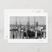 アストリア，オレゴン州ウォーターフロントビュー魚釣り艦隊 ポストカード (正面/裏面)