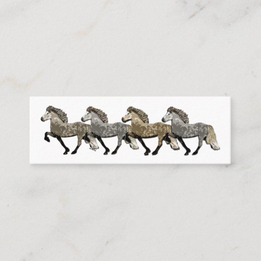 アストリッド・アイスランドの馬 スキニー名刺 (正面)