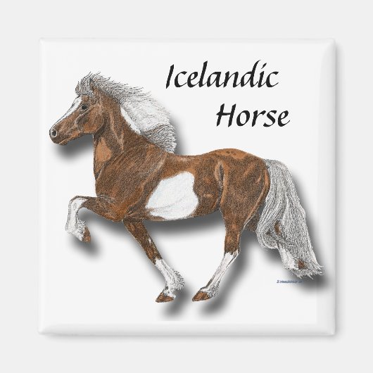 アストリッド マグネット (正面)