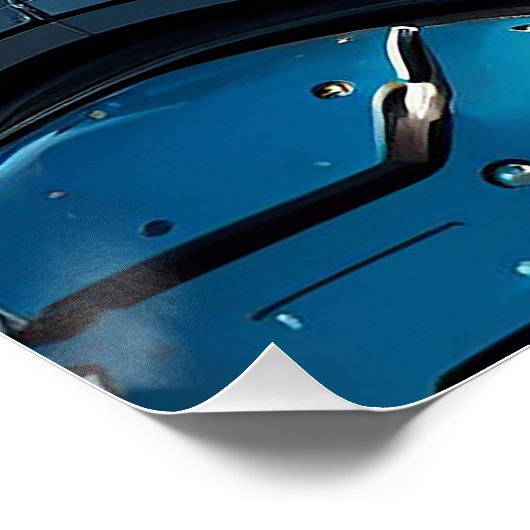 アストロキツネ ポスター (コーナー)