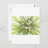 アスパラガス中心に向かって ポストカード (正面/裏面)