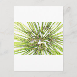 アスパラガス中心に向かって ポストカード