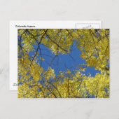 アスペンのポストカード ポストカード (正面/裏面)