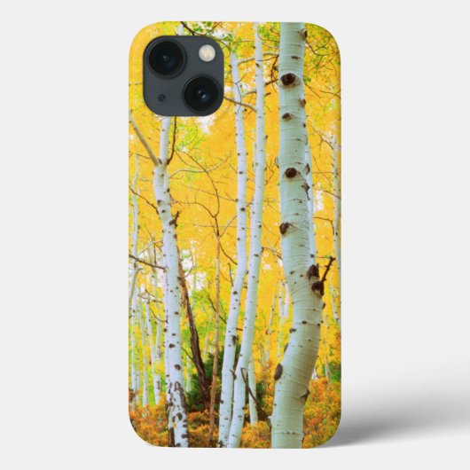 アスペンの木の紅葉 1 Case-Mate iPhoneケース (裏面)