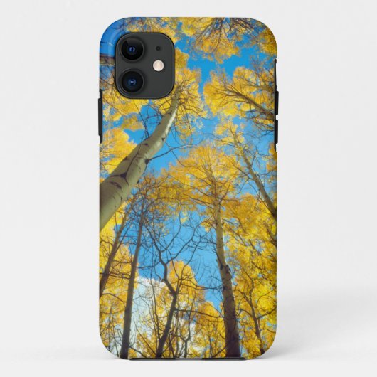 アスペンの木の紅葉 2 Case-Mate iPhoneケース (裏面)