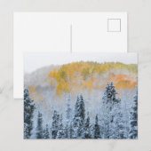 アスペンの紅葉とかすかな雪 キーブラー峠 ポストカード (正面/裏面)
