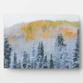 アスペンの紅葉とキーブラー峠の新雪 フォトプラーク (正面)