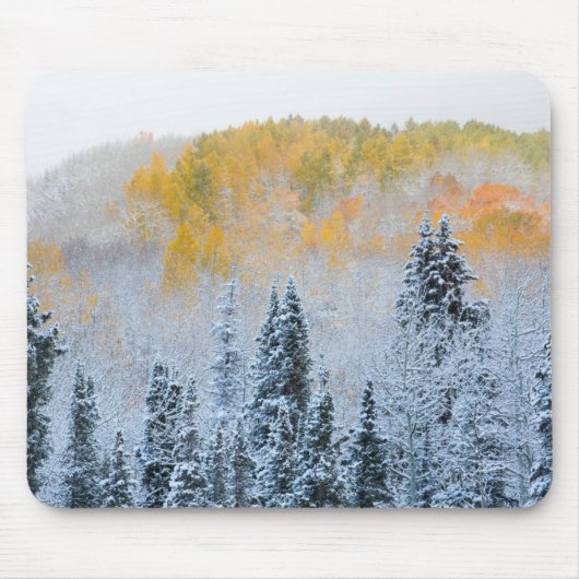 アスペンの紅葉とキーブラー峠の新雪 マウスパッド (正面)