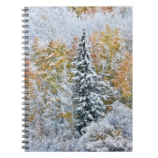 アスペンの紅葉とキーブラー峠の雪景色 ノートブック (正面)