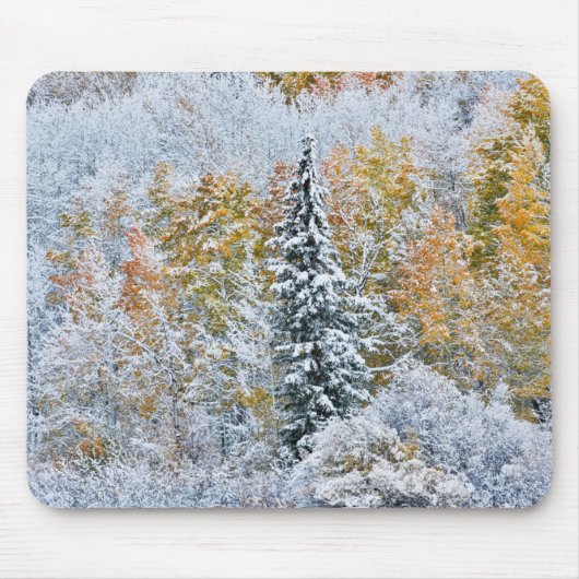アスペンの紅葉とキーブラー峠の雪 マウスパッド (正面)