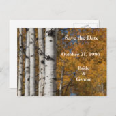 アスペンアレーの秋 オレンジ色の結婚式のポストカード 案内ポストカード (正面/裏面)