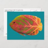 アスペンリーフの熱帯魚 1 ポストカード (正面/裏面)