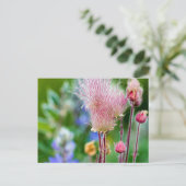 アスペン林のプレーリースモークの野生の花 2 ポストカード (スタンド正面)