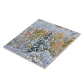 アスペン+雪のキーブラー峠の秋の色 タイル (側面)