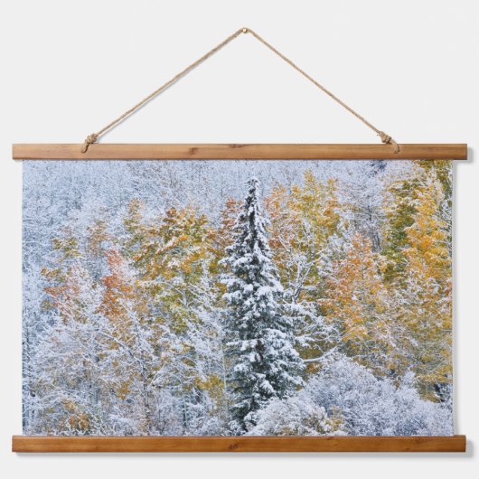 アスペン+雪のキーブラー峠の秋の色 吊り下げ型タペストリー (正面)
