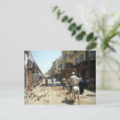 アスワンドンキー ポストカード (スタンド正面)