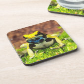 アズマヤドクガエル, Dendrobates tinctorius, コースター (左側)