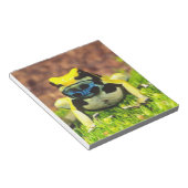 アズマヤドクガエル, Dendrobates tinctorius, ノートパッド (アングル)