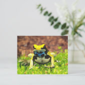 アズマヤドクガエル, Dendrobates tinctorius, ポストカード (スタンド正面)