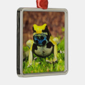 アズマヤドクガエル, Dendrobates tinctorius, メタルオーナメント (右)