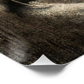 アズラーエルバイジャン・デルヴィル， 1890 ポスター (コーナー)