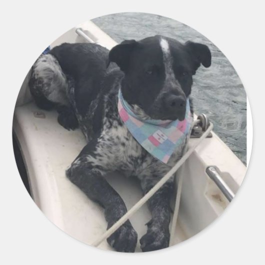 アズールの一等航海士 ラウンドシール (正面)