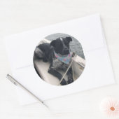 アズールの一等航海士 ラウンドシール (封筒)