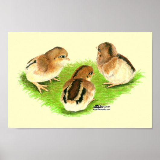 アセエルブラックレッドチックス ポスター (正面)