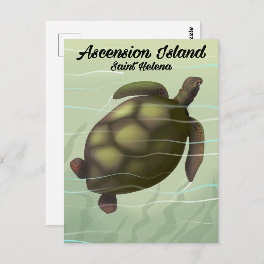 アセンションアイランドウミガメのパネルウォールアート ポストカード (正面/裏面)