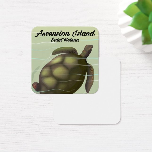 アセンションアイランドウミガメ (デスク)