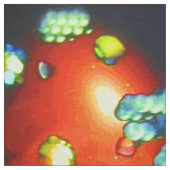 アセンショントランス生地 ファブリック (見本)