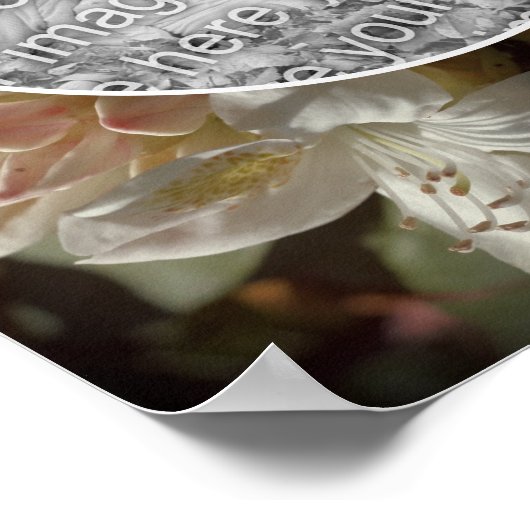 アゼアの花の開花 色合い オリジナル写真を作成 ポスター (角)