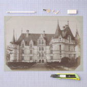 アゼイルリドゥシャトードゥクドゥップルネッサンス 薄葉紙 (クラフト)