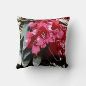 アゼレフローラ クッション (裏面)