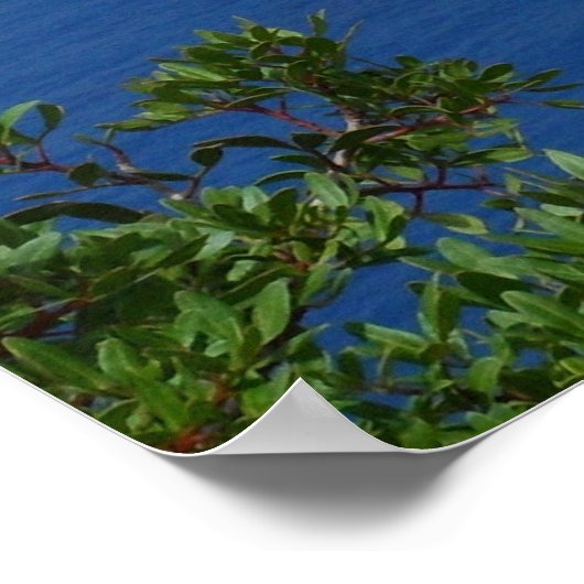 アソスヴィレッジケファロニアギリシャ島ギリシャ ポスター (角)