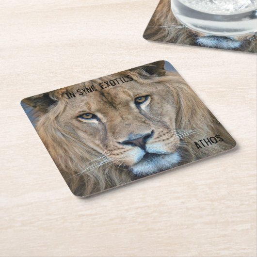 アソス – スクエアペーパーコースター (アングル)