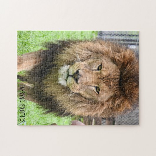 アソス – パズル (横)