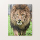 アソス – パズル (縦)