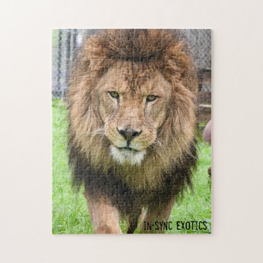 アソス – パズル (縦)