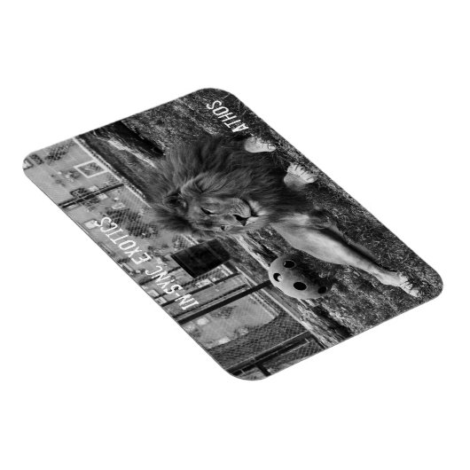 アソス –  マグネット (右側)